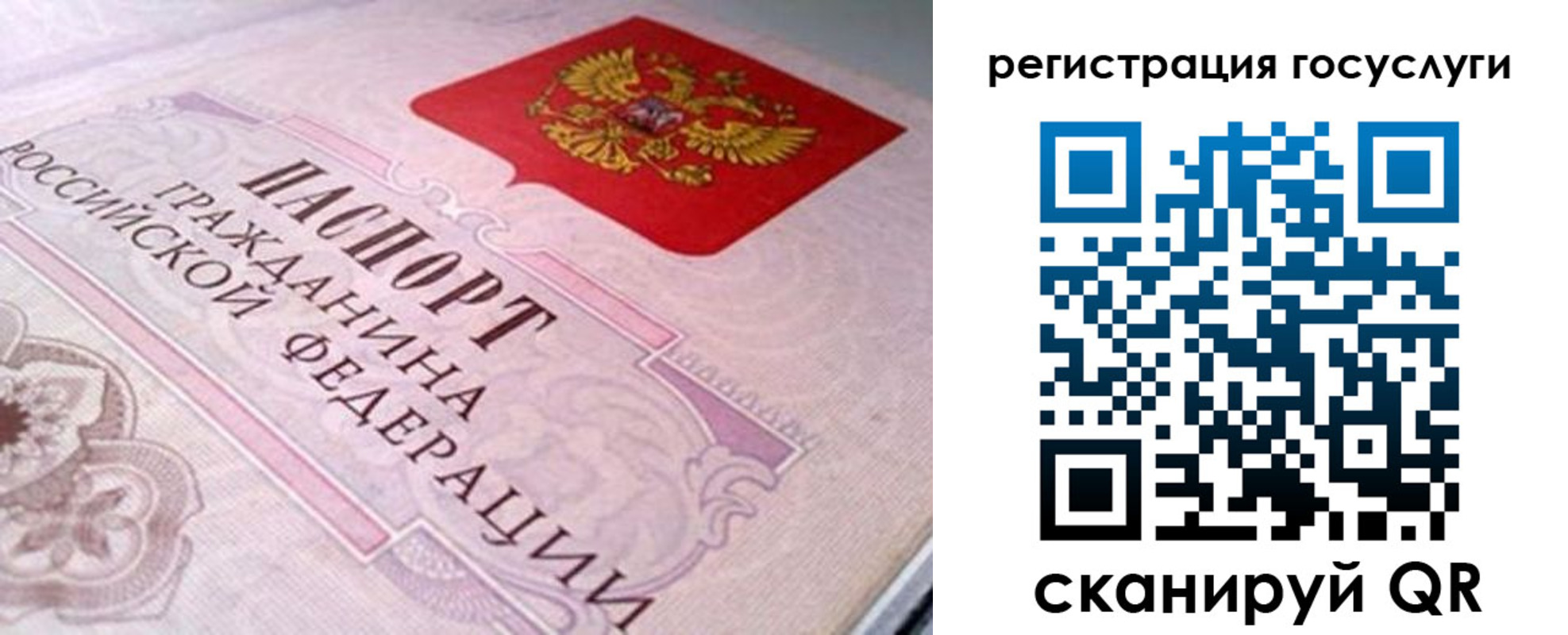где прописаться в Ростовской области